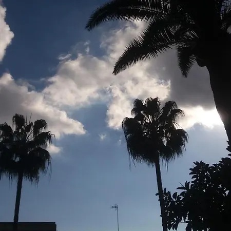 Corona Palma de Mallorca